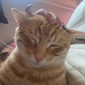 Meet your Posher, Zachary